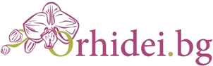 Orhidei.bg