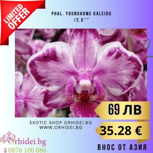 Phal. Younghome Kaleido /2.5 без цвят #105