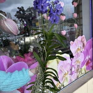 Alternative view of Ванда ХХЛ  #204