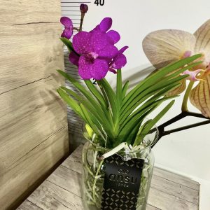 Alternative view of Ванда в стъкленица  #205